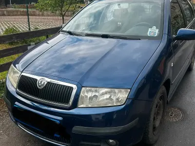 Brugt Skoda Fabia