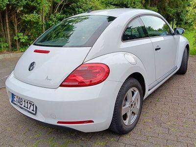 VW Beetle
