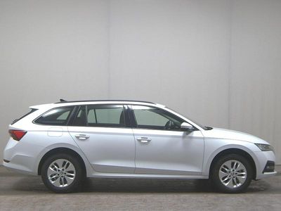 Usata Skoda Octavia Ambition 116 CV (85 kW) 2021 Bianco Station wagon