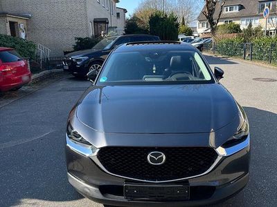 Usado Mazda CX-30 Selection 179 HP (131 kW) 2019 Cinzento SUV