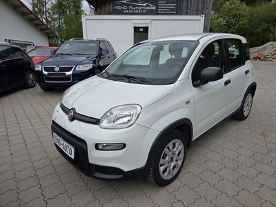 Fiat Panda 4x4