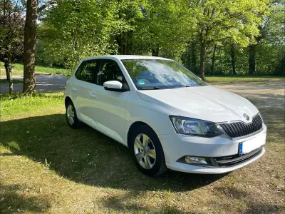 Gebraucht Skoda Fabia Ambition 90 PS (66 kW) 2016 Weiß Kleinwagen