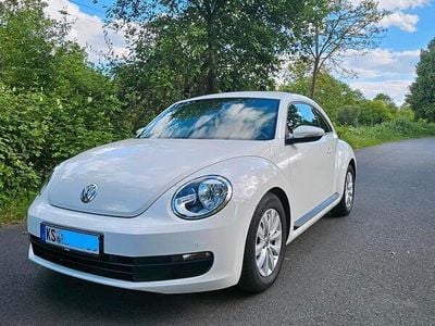 VW Beetle