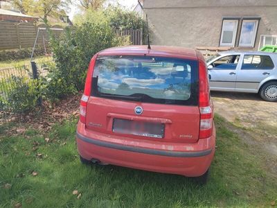 gebraucht Fiat Panda 