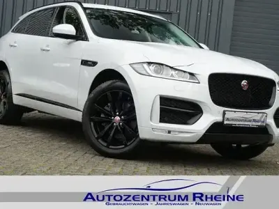 Gebraucht Jaguar F-Pace R-Sport 180 PS (132 kW) 2016 Weiß SUV
