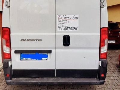Gebraucht Fiat Ducato 116 PS (85 kW) 2019 Weiß Van