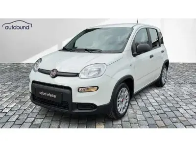 Gebraucht Fiat Panda 71 PS (52 kW) 2024 Kleinwagen