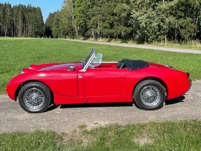 Gebraucht Austin Healey Frogeye 44 PS (32 kW) 1961 Rot Cabrio