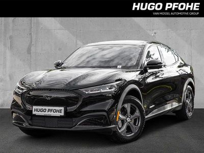 Gebraucht Ford Mustang Mach-E Standard Range 197 kW (269 PS) 2024 Andere farbe SUV