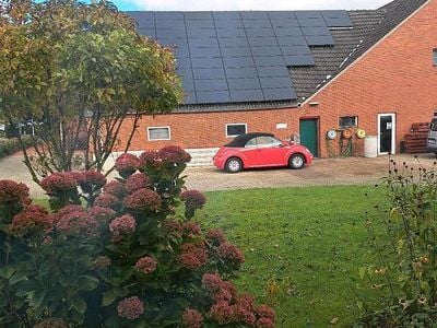 Gebraucht VW Beetle Cabriolet 75 PS (55 kW) 2003 Rot Cabrio