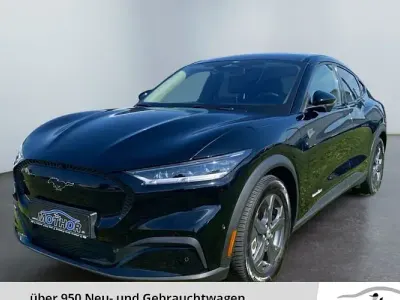 Gebraucht Ford Mustang Mach-E Standard Range 197 kW (269 PS) 2023 Schwarz SUV