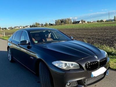 gebraucht BMW 520 F10 d