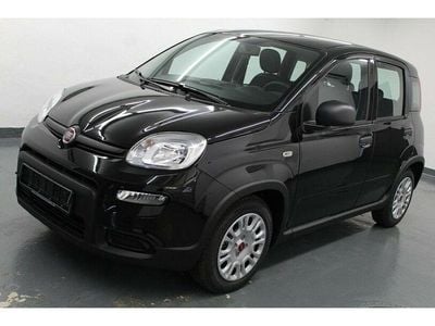 Gebraucht Fiat Panda 69 PS (50 kW) 2023 Schwarz Kleinwagen