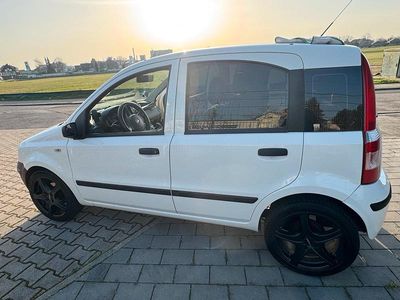 Second-hand Fiat Panda 60 CP (44 kW) 2009 Alb Hatchback