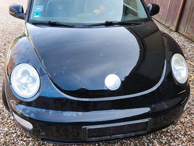 VW Beetle