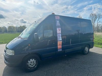 gebraucht Fiat Ducato 