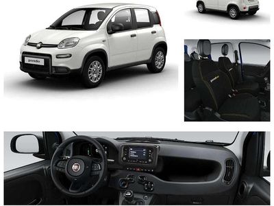 Neu Fiat Panda Icon 65 PS (47 kW) 2026 Weiß Kleinwagen