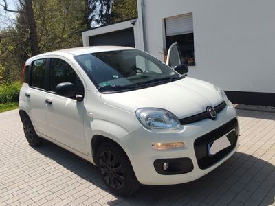 gebraucht Fiat Panda New1.2 8V Guter gebrauchter Kleinwagen