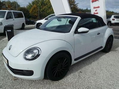 Gebraucht VW Beetle Cabriolet Basis 105 PS (77 kW) 2016 Weiß Cabrio
