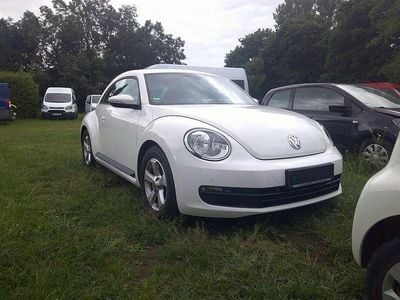 VW Beetle