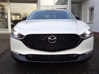 Neu Mazda CX-30 Nagisa 140 PS (102 kW) 2025 SUV