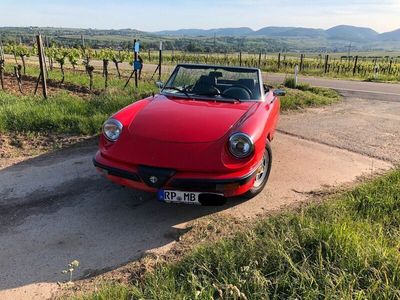 gebraucht Alfa Romeo Spider 115