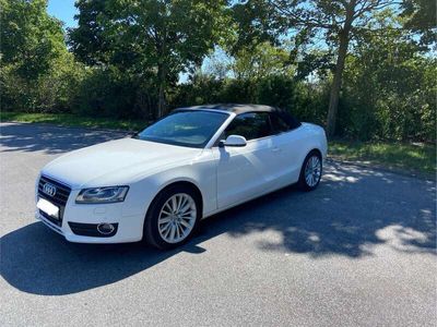 gebraucht Audi A5 Cabriolet - Navi PDC Alcantara Keyless Akustikverdeck