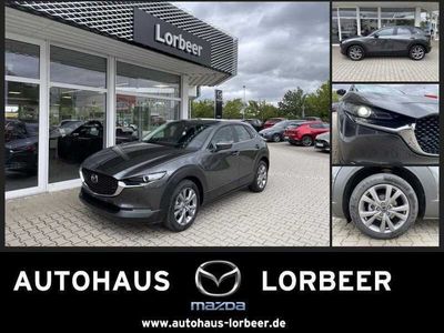 gebraucht Mazda CX-30 M-HYBRID SELECTION 150PS 6AG A18 NAVI