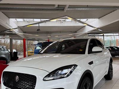 Gebraucht Jaguar E-Pace R-Dynamic 249 PS (183 kW) 2019 Weiß SUV
