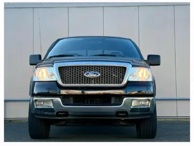 Gebraucht Ford F-150 300 PS (220 kW) 2004 Schwarz Pickup