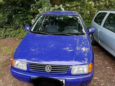 VW Polo