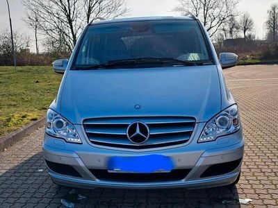 Mercedes Viano