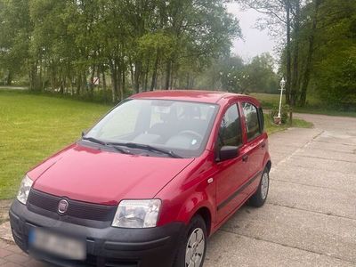 gebraucht Fiat Panda neue TÜV