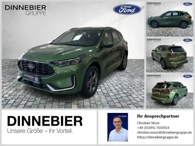 Neu Ford Kuga ST-Line X 242 PS (177 kW) 2025 Grün (metallic) SUV