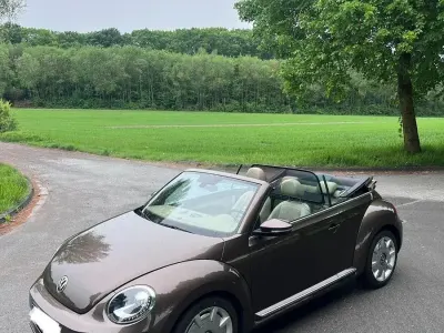 Brugt VW Beetle