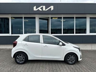 Neu Kia Picanto Vision 63 PS (46 kW) 2025 Weiß Kleinwagen