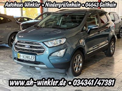 Blau Gebraucht 2019 Ford Ecosport Titanium SUV | 18.490 € (Teuer)