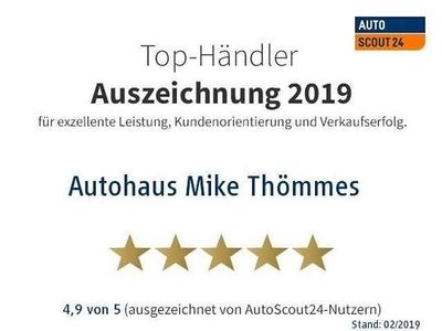 Kometengrau (metallic) Gebraucht 2020 Dacia Dokker Stepway Van / Kleinbus | 14.600 € (Fairer Preis)