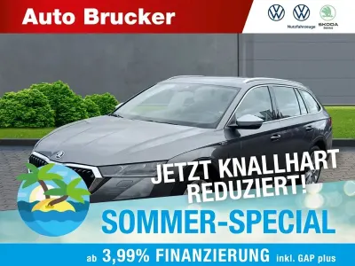 Gebraucht Skoda Octavia Scout 4x4 200 PS (147 kW) 2023 Grau Kombi