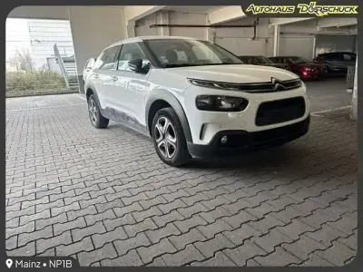 Gebraucht Citroën C4 Cactus Business Class 110 PS (80 kW) 2020 Weiß Kleinwagen