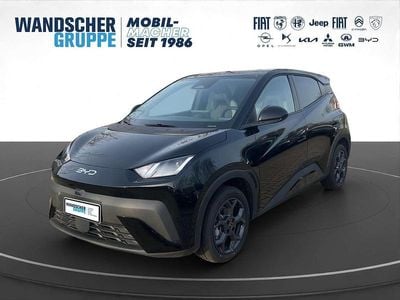 Neu BYD Dolphin Surf Comfort 114 kW (156 PS) 2025 Blauschwarz Kleinwagen