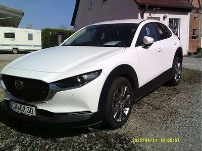 Gebraucht Mazda CX-30 Selection 186 PS (136 kW) 2023 Weiß SUV