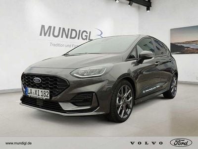 Gebraucht Ford Fiesta ST-Line X 125 PS (91 kW) 2023 Grau (magneticgrau (metallic)) (metallic) Kleinwagen