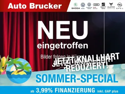 Gebraucht Skoda Fabia Style 110 PS (80 kW) 2022 Grau Kleinwagen