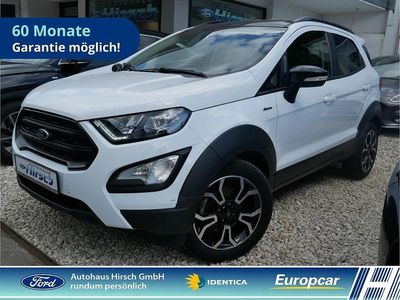 Gebraucht Ford Ecosport Active 140 PS (102 kW) 2022 Weiß SUV
