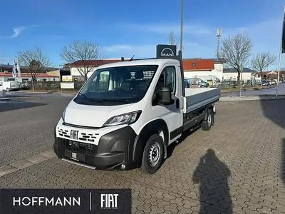 Neu Fiat Ducato 140 PS (102 kW) 2026 Weiss gelato weiss Van
