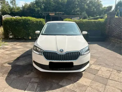 Gebraucht Skoda Fabia 60 PS (44 kW) 2020 Weiß Kleinwagen