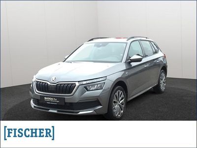 Gebraucht Skoda Kamiq Tour 110 PS (80 kW) 2023 Grau SUV