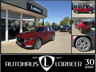 Gebraucht Mazda CX-30