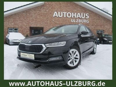 Gebraucht Skoda Octavia First Edition 116 PS (85 kW) 2020 Schwarz Kombi